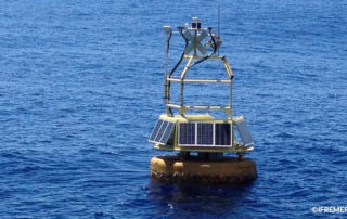 Azores buoy